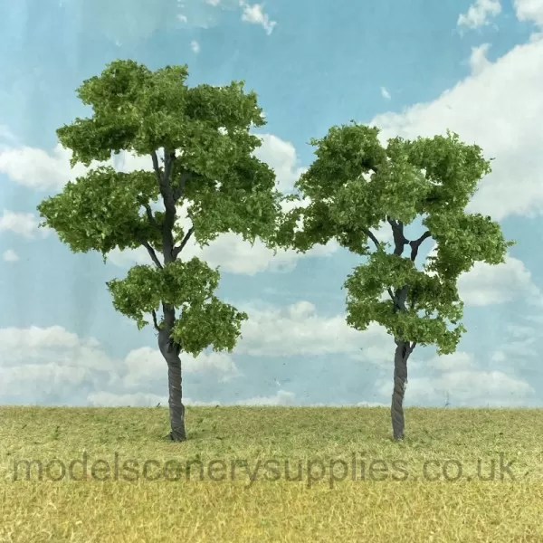 Chestnut Trees 70 - 95mm Tall 