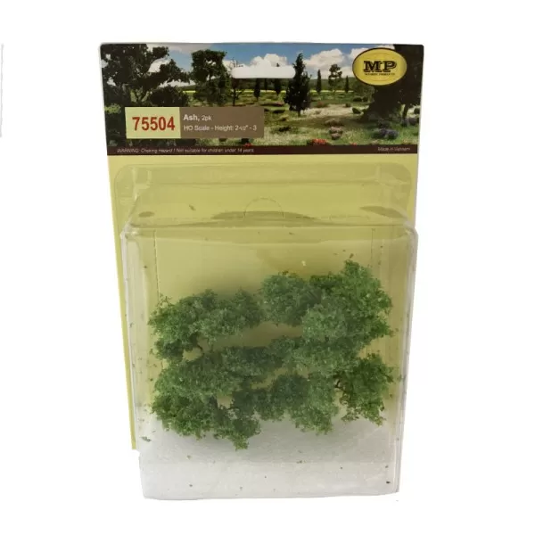 Ash Trees 60 - 80mm Tall 