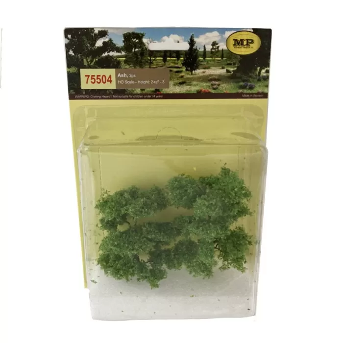 Ash Trees 60 - 80mm Tall 