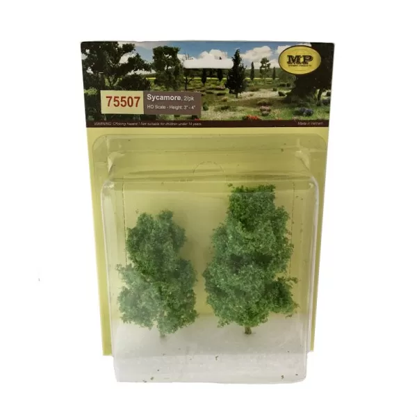 Sycamore Trees 75 - 95mm Tall 