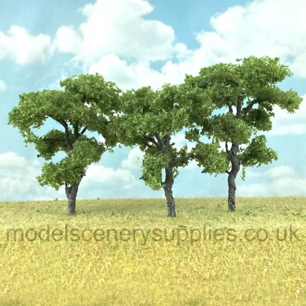 Chestnut Trees 40 to 50mm Tall MP75533