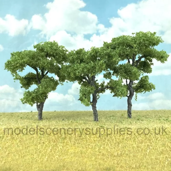 Chestnut Trees 40 to 50mm Tall MP75533
