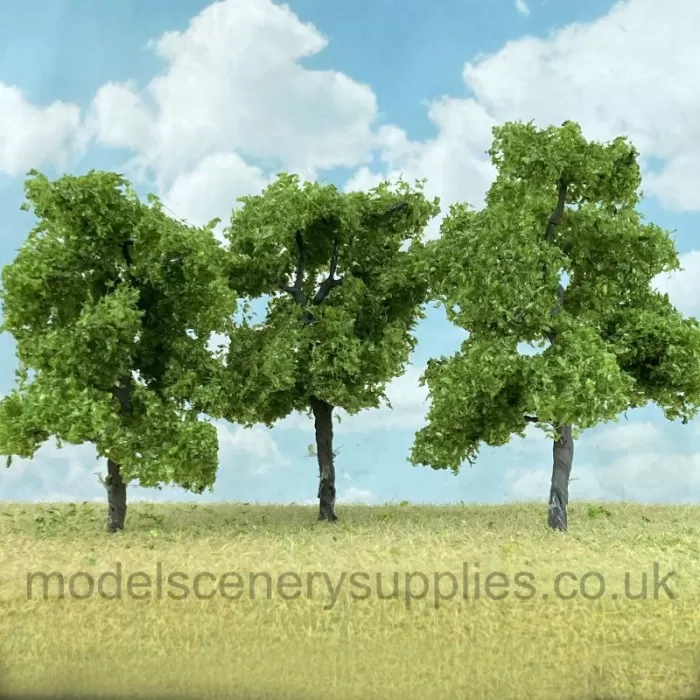 Ash Trees 40 to 50mm Tall MP75534
