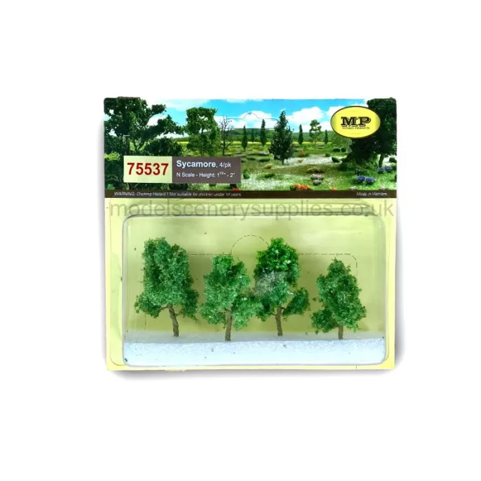 Sycamore Trees 35 - 50mm Tall 