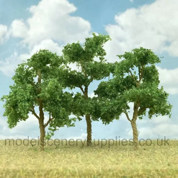 Elm Trees 40 to 50mm Tall MP75538