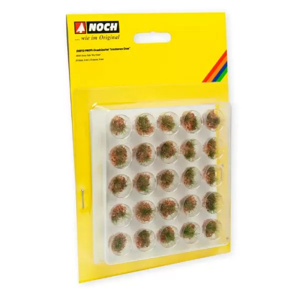 Grass Tufts Dry Grass  Noch 06910