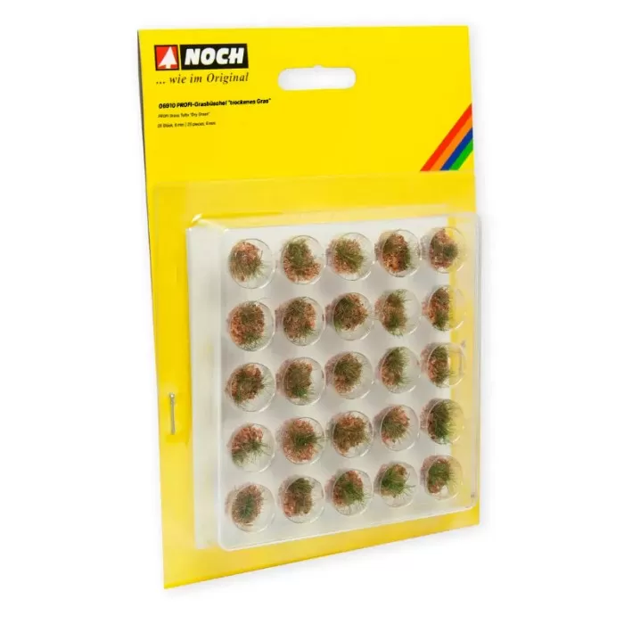 Grass Tufts Dry Grass  Noch 06910
