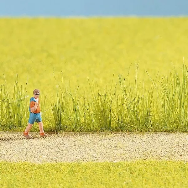 Reed Grass Assortment Noch 07060