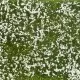 Ground Cover Foliage Meadow White Noch 07256
