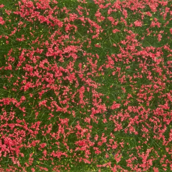 Ground Cover Foliage Meadow Red Noch 07257