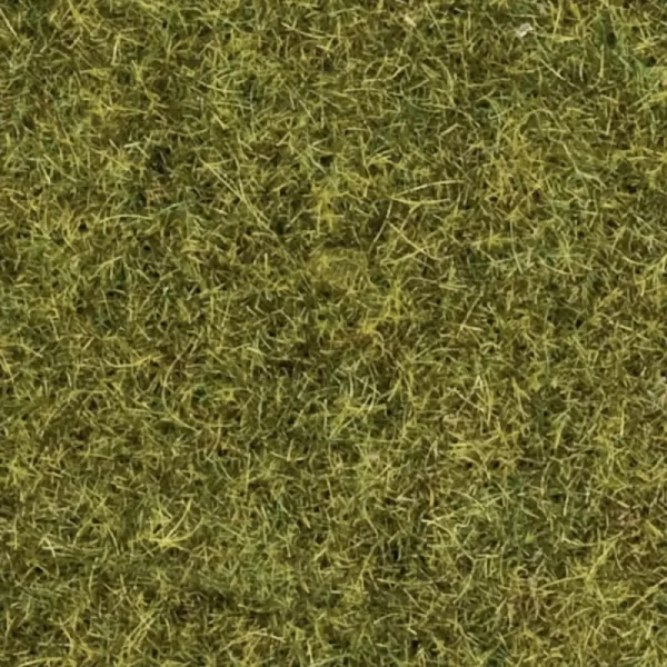 Static Grass 2.5mm Meadow Green  Noch 08312