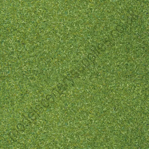 Light Green Spring Scatter Noch 08410