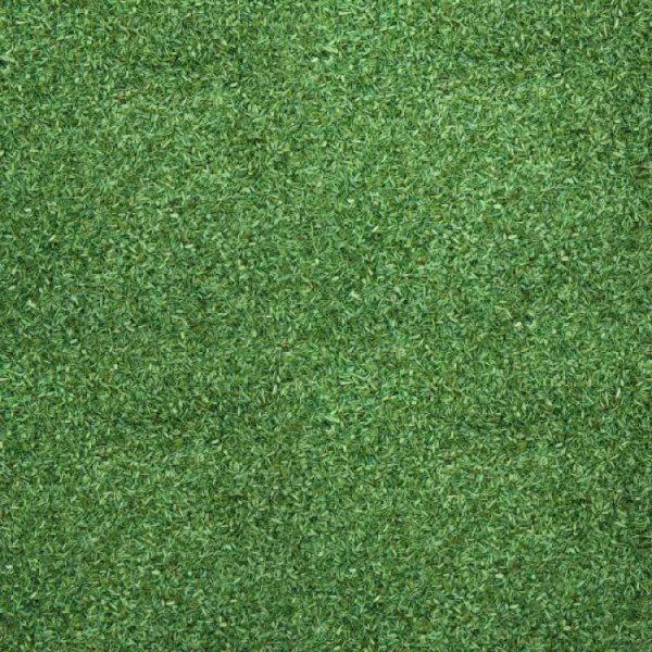 Mid Green Scatter Noch 08420