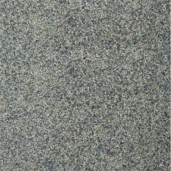 Grey Scatter Noch 08460