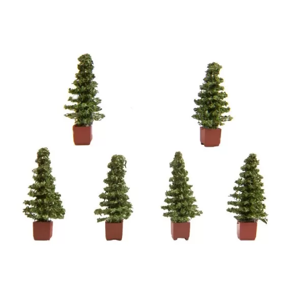 Pot Plants Small Trees 