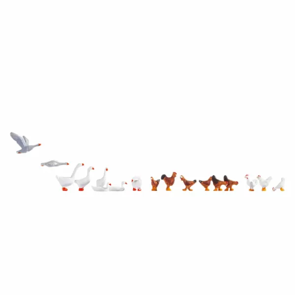 Chickens and Geese OO By Noch