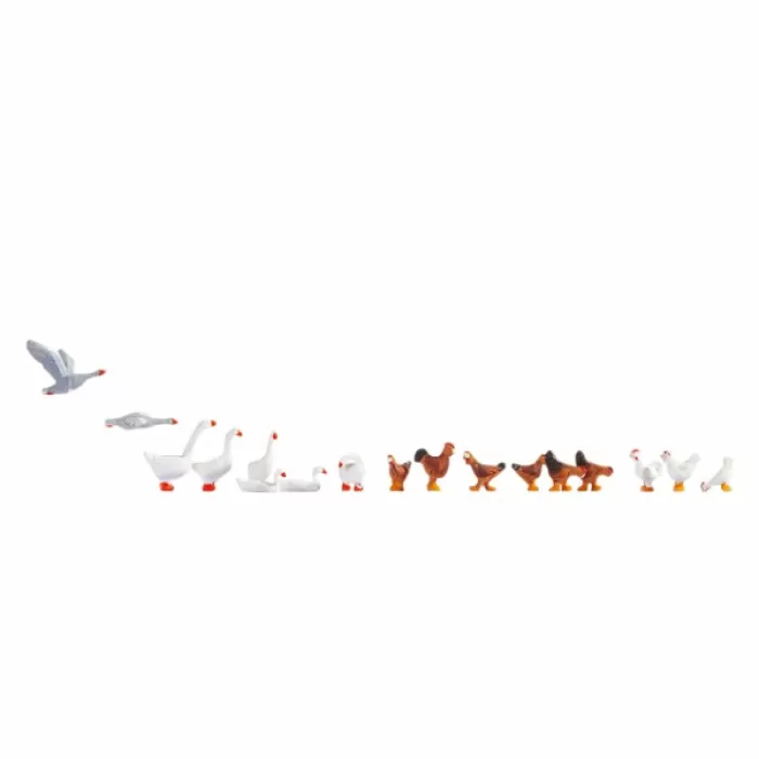 Chickens and Geese OO By Noch