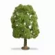 Ash Tree NOCH Master Tree 190mm tall 20100