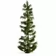 Spruce Tree 250mm tall Noch 20192 Master Tree