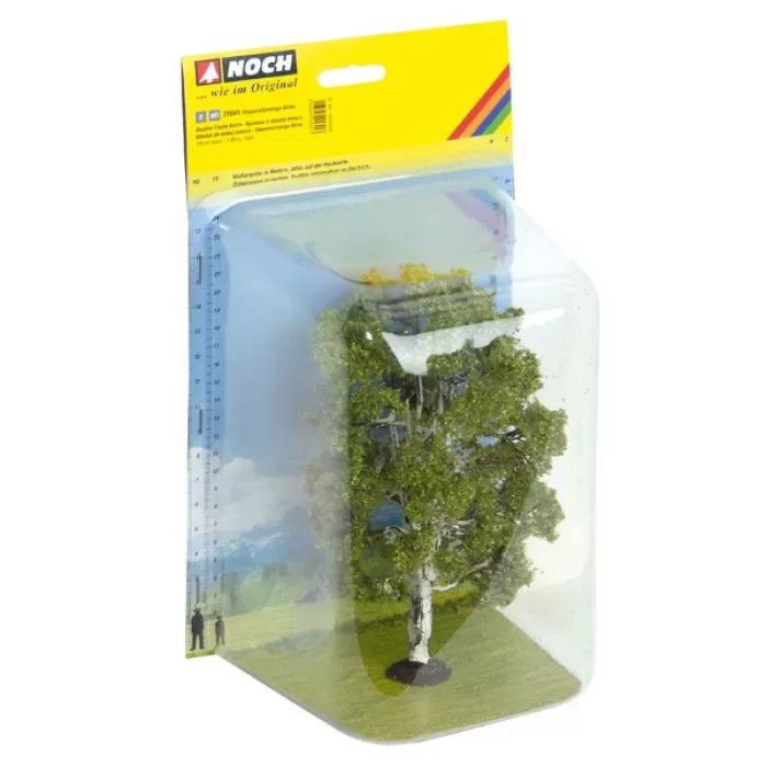 Birch Tree 170mm tall