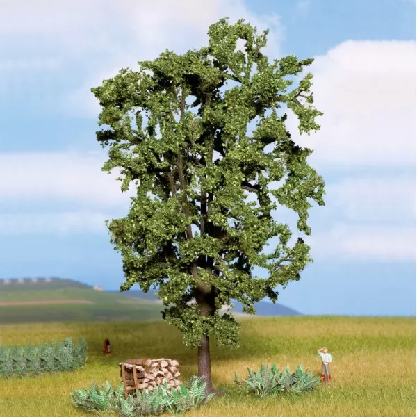 Chestnut Tree 190mm tall