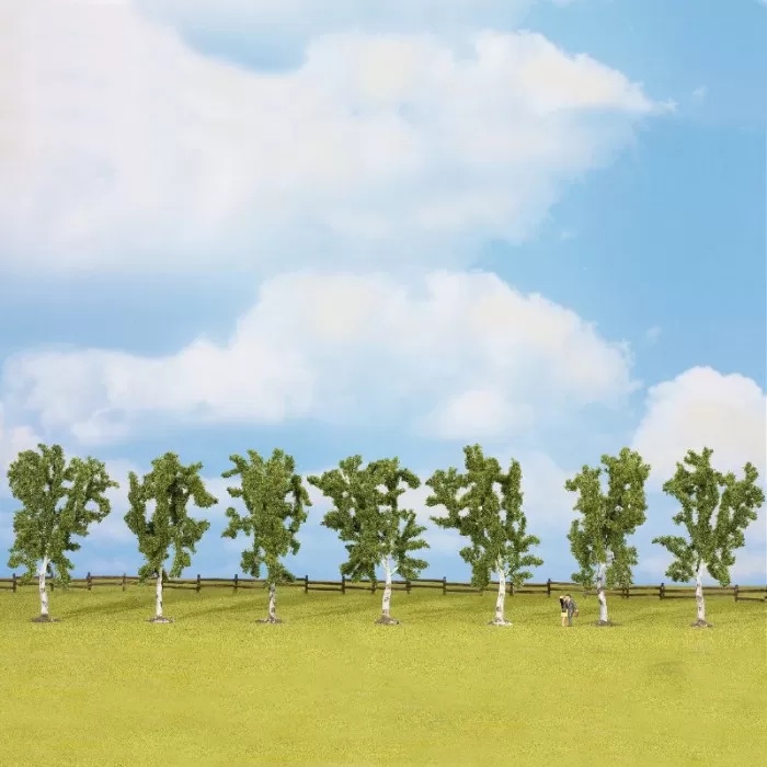 Birch Trees 105mm tall