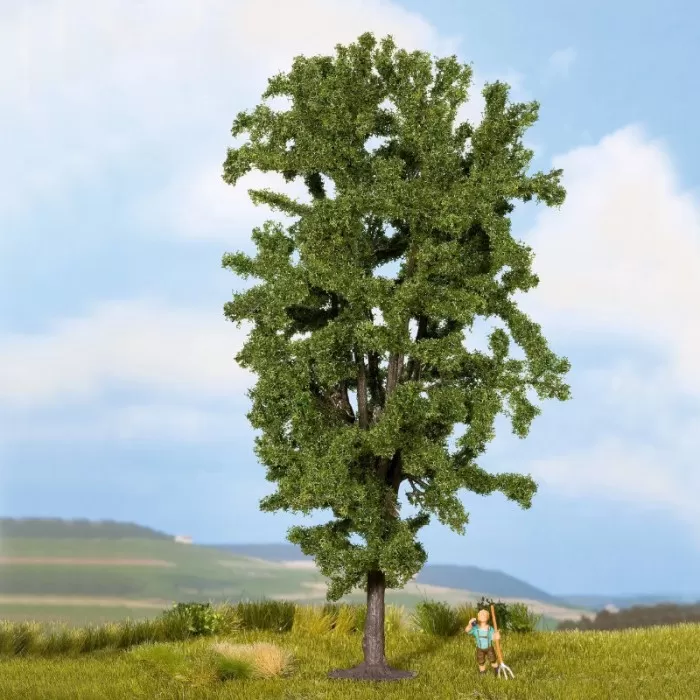 Horse Chestnut Tree 185mm tall