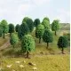 Deciduous Trees 50-90 mm tall Noch 26901