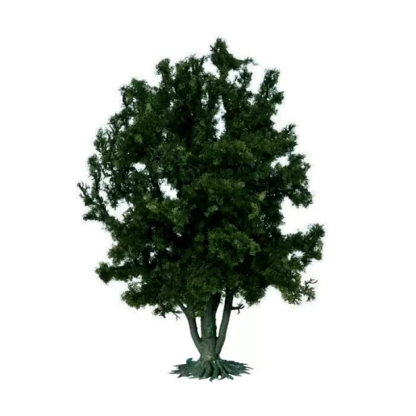 Large Multi Trunked Tree or Bush 250mm tall Noch 68015