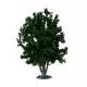 Large Multi Trunked Tree or Bush 250mm tall Noch 68015