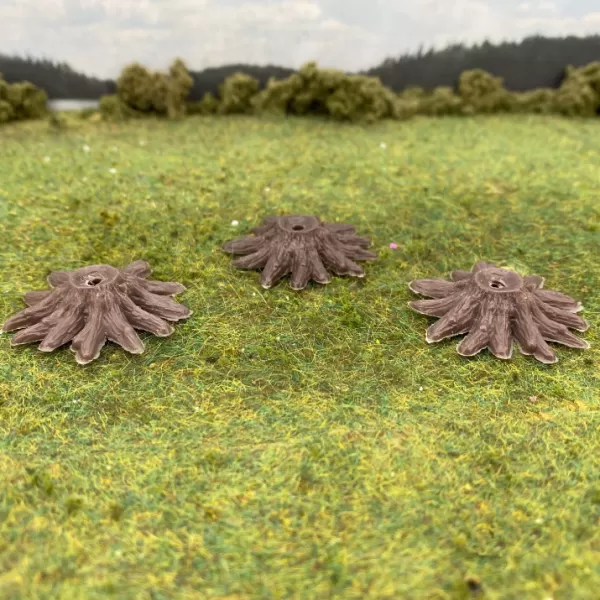 Tree Root Base Tree stump