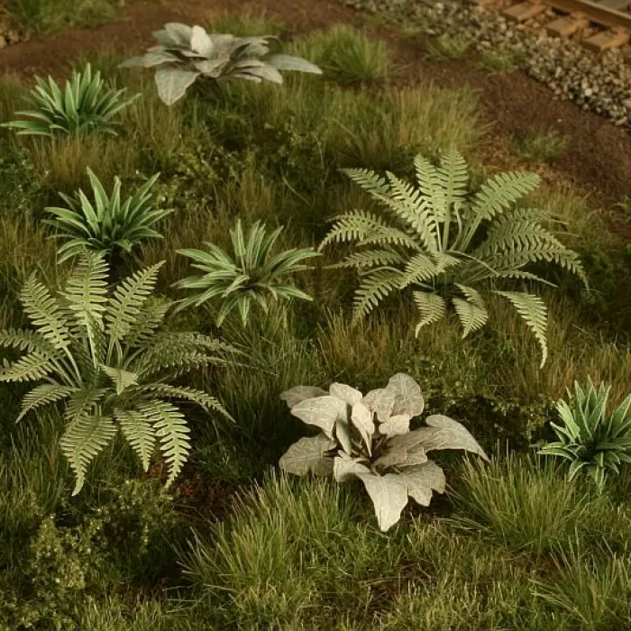 Leafy plants Burdock OO