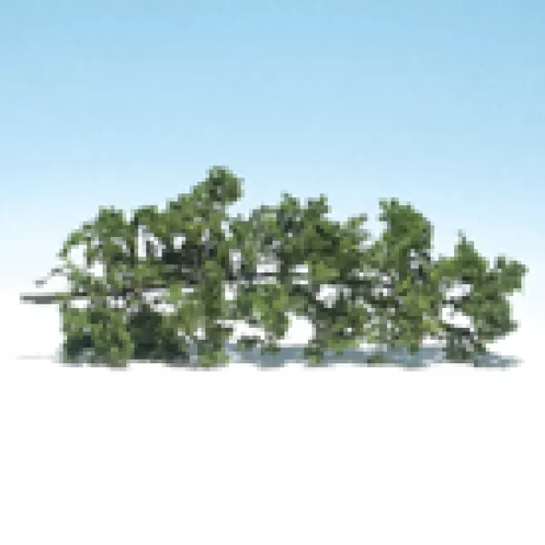 Fine-Leaf Foliage™