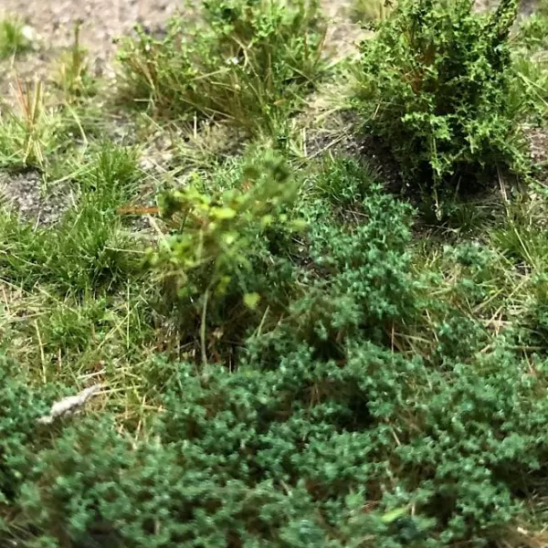 Lars op t Hof Bushes