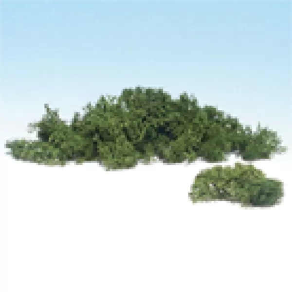 Woodland Scenics Lichen